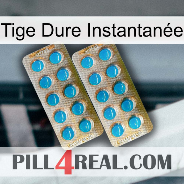 Tige Dure Instantanée new08.jpg
